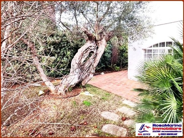 casa indipendente in vendita ad Ostuni in zona Rosa Marina