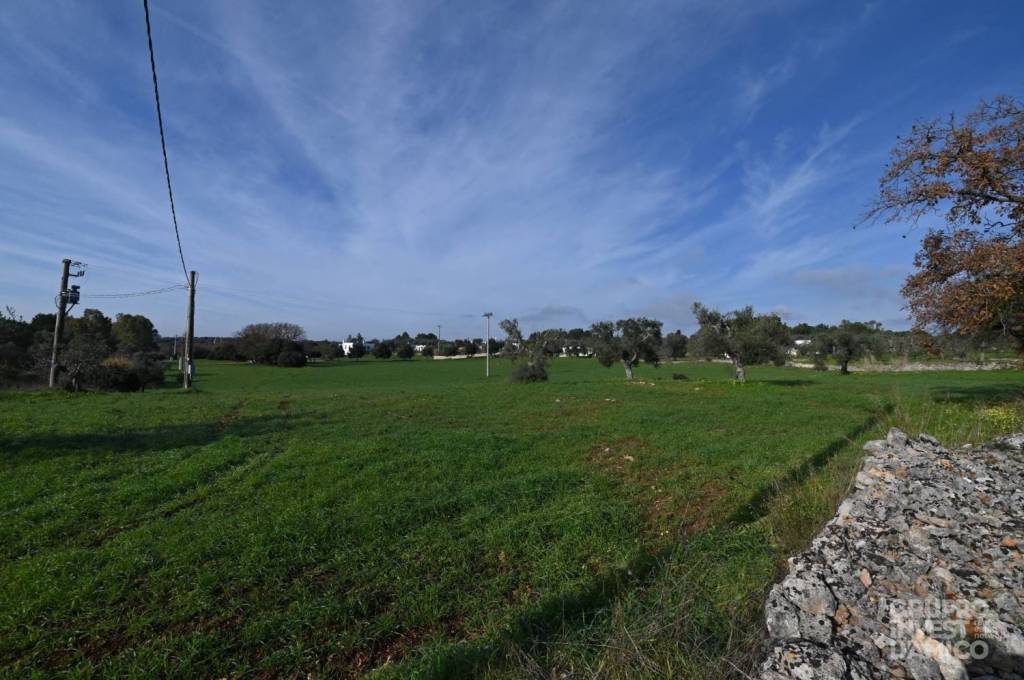 casa indipendente in vendita ad Ostuni