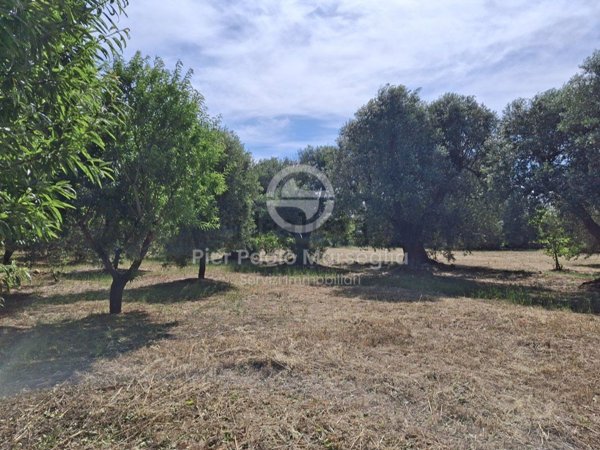 terreno edificabile in vendita ad Ostuni