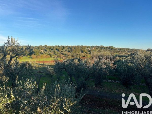 terreno edificabile in vendita ad Ostuni