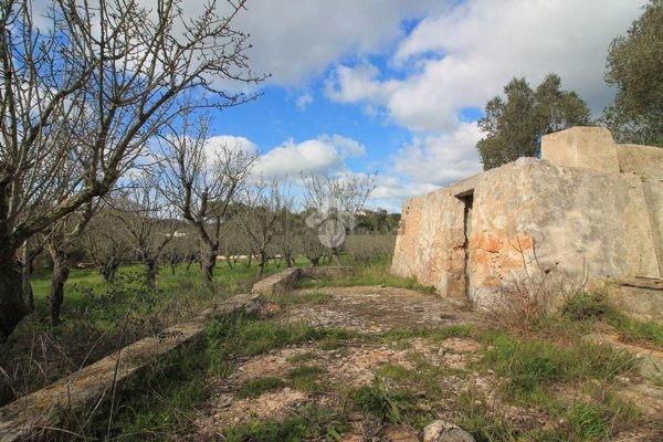 appartamento in vendita ad Ostuni