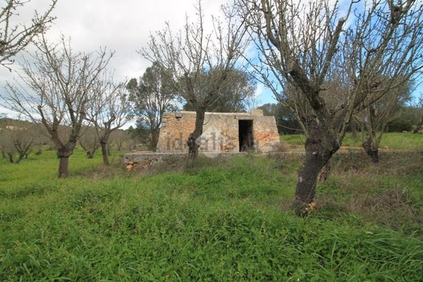 appartamento in vendita ad Ostuni in zona Ramunno Secondo