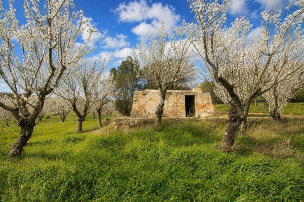 casa indipendente in vendita ad Ostuni