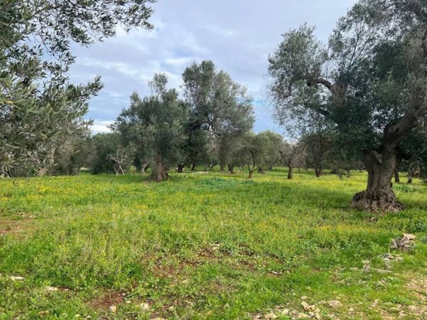 casa indipendente in vendita ad Ostuni