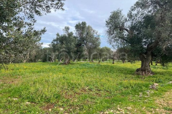 casa indipendente in vendita ad Ostuni