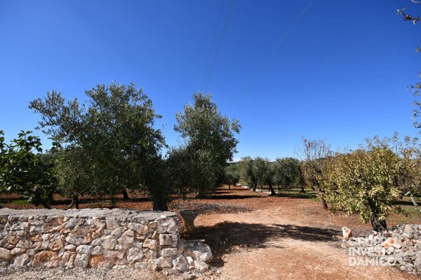 terreno edificabile in vendita ad Ostuni