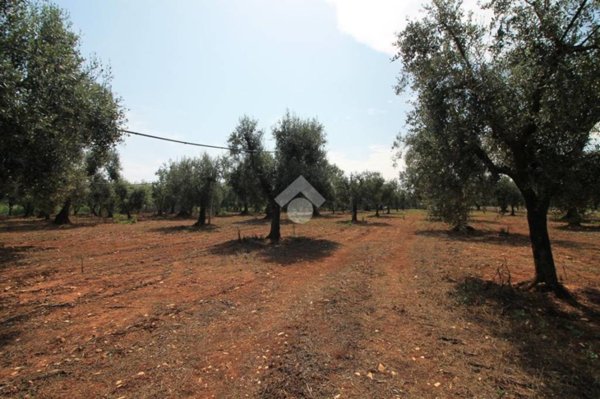 casa indipendente in vendita ad Ostuni