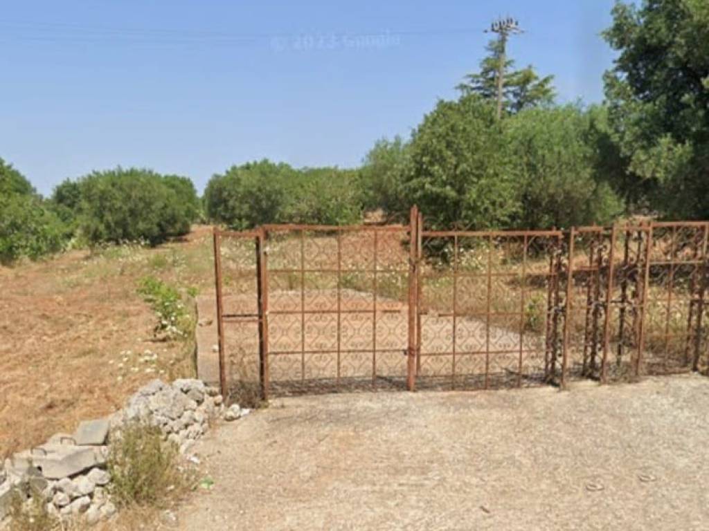 terreno agricolo in vendita ad Ostuni