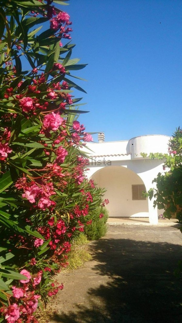 casa indipendente in vendita ad Ostuni