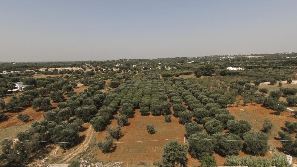 casa indipendente in vendita ad Ostuni