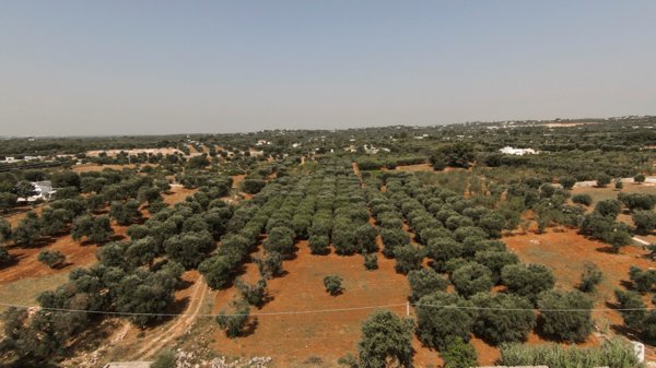 casa indipendente in vendita ad Ostuni