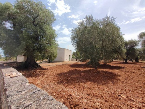 terreno agricolo in vendita ad Ostuni
