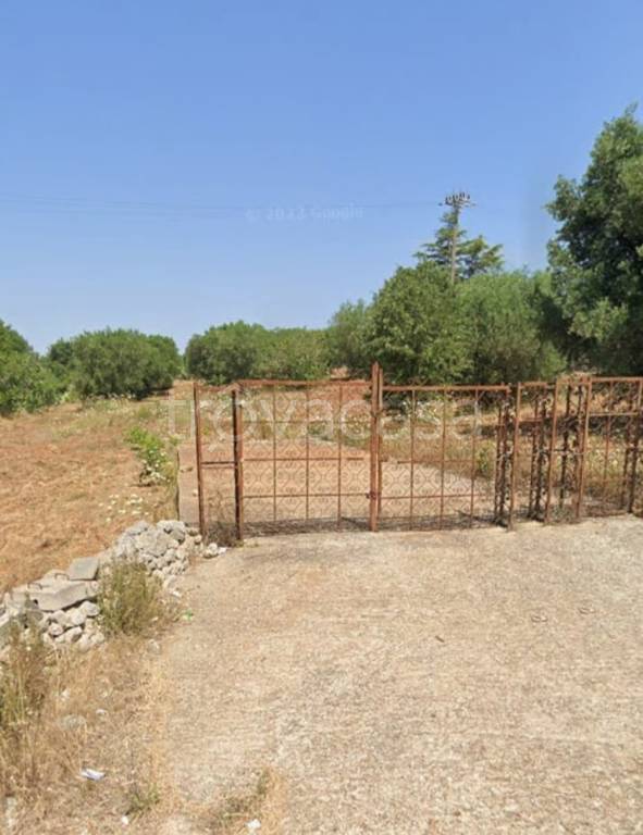 terreno agricolo in vendita ad Ostuni