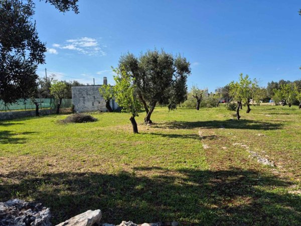 casa indipendente in vendita ad Ostuni