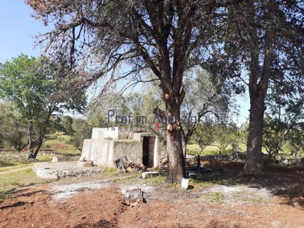 casa indipendente in vendita ad Ostuni