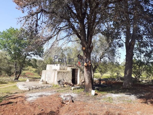 casa indipendente in vendita ad Ostuni