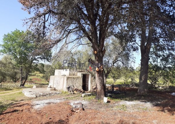 appartamento in vendita ad Ostuni