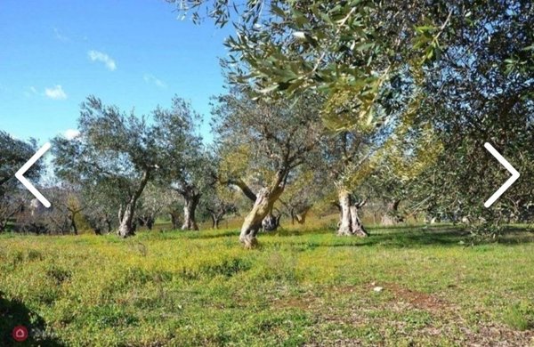 casale in vendita ad Ostuni