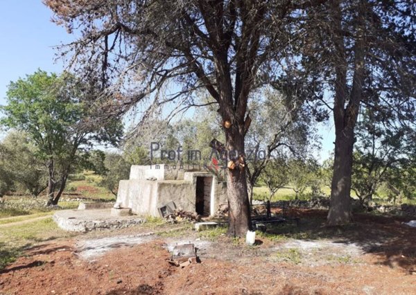casa indipendente in vendita ad Ostuni