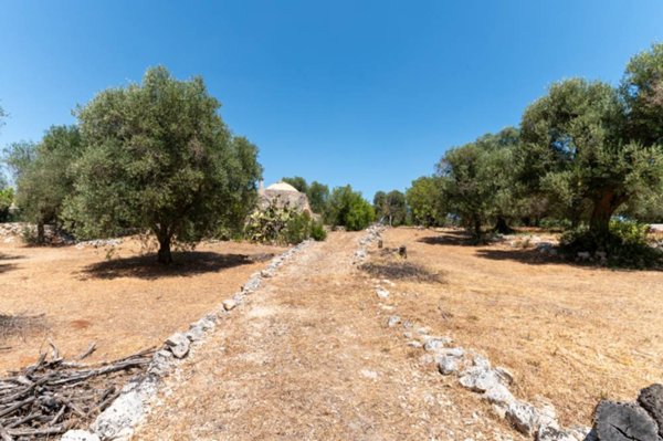 casa indipendente in vendita ad Ostuni