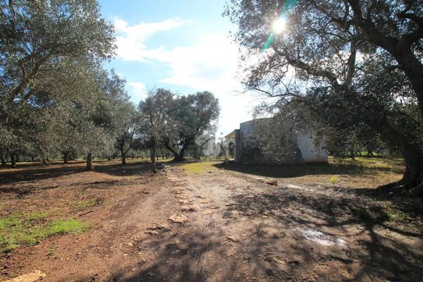 appartamento in vendita ad Ostuni in zona Ramunno Secondo