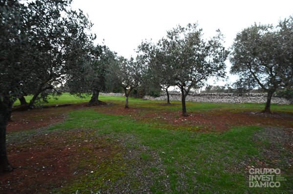 terreno agricolo in vendita ad Ostuni in zona Ramunno Secondo
