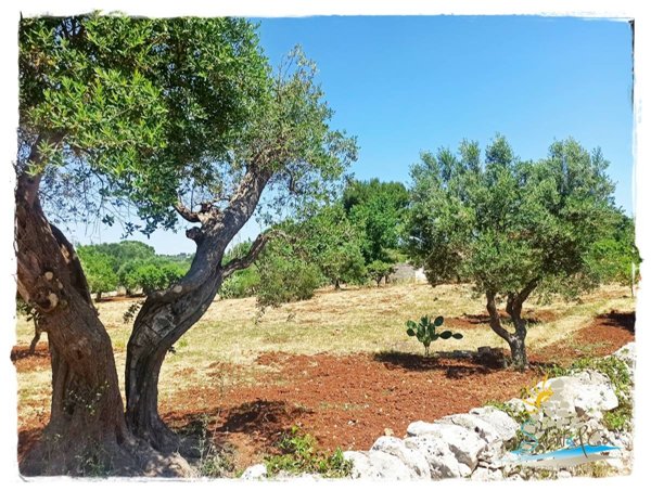 casa indipendente in vendita ad Ostuni in zona Ramunno Secondo