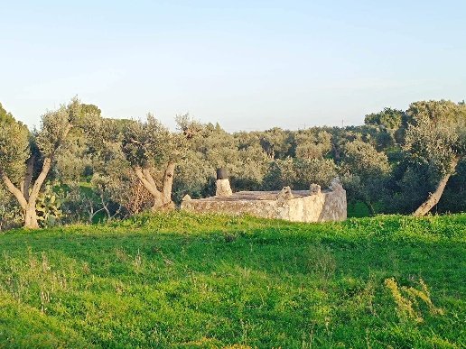 casa semindipendente in vendita ad Ostuni in zona Ramunno Secondo