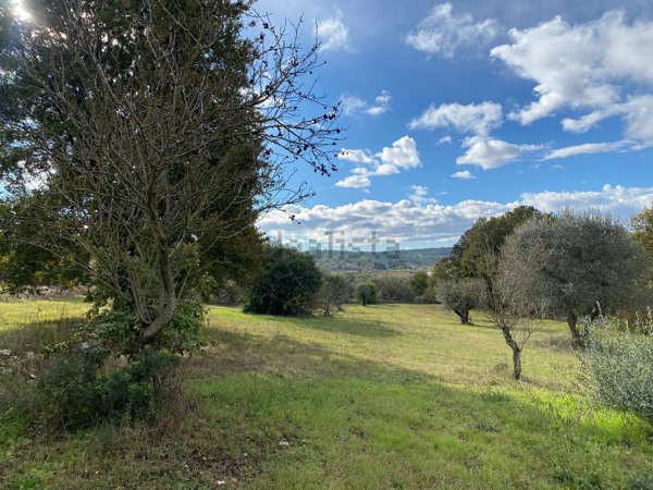esavano in vendita ad Ostuni in zona Ramunno Secondo