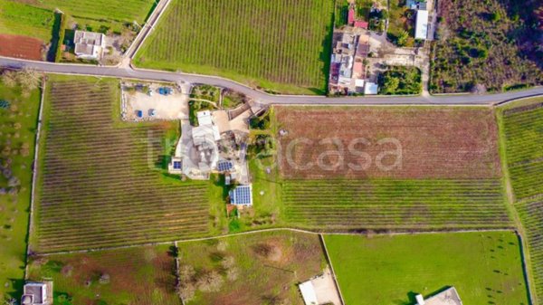 negozio in vendita ad Ostuni