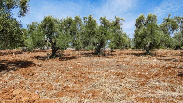 casa indipendente in vendita ad Ostuni in zona Ramunno Secondo