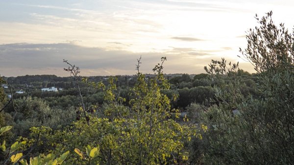 casa indipendente in vendita ad Ostuni