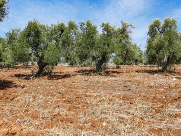 casa indipendente in vendita ad Ostuni in zona Ramunno Secondo