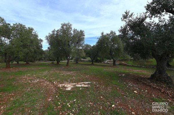 terreno agricolo in vendita ad Ostuni in zona Ramunno Secondo