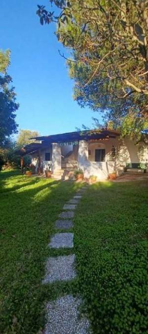 casa indipendente in vendita ad Ostuni