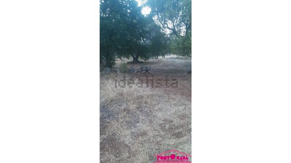 monolocale in vendita ad Ostuni
