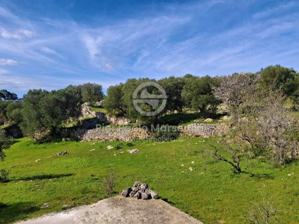 appartamento in vendita ad Ostuni