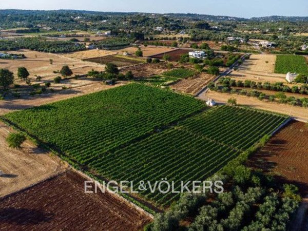 negozio in vendita ad Ostuni