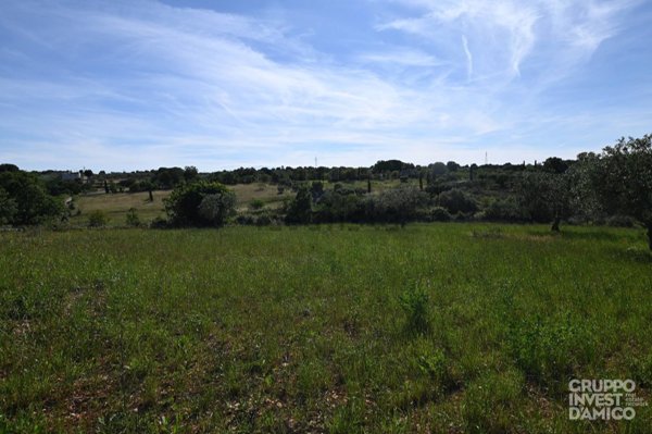 terreno agricolo in vendita ad Ostuni