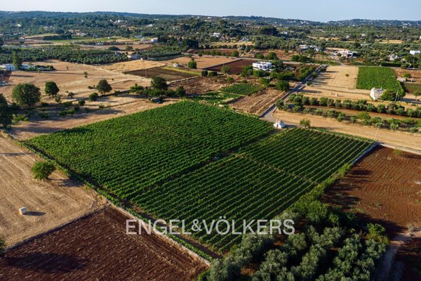 terreno edificabile in vendita ad Ostuni
