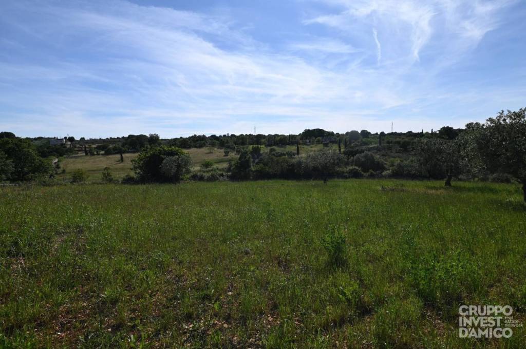 terreno agricolo in vendita ad Ostuni