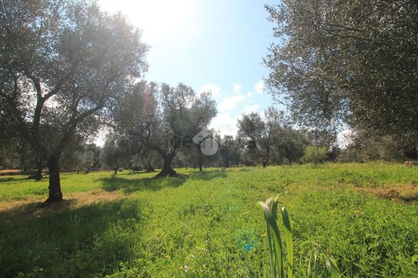 appartamento in vendita ad Ostuni