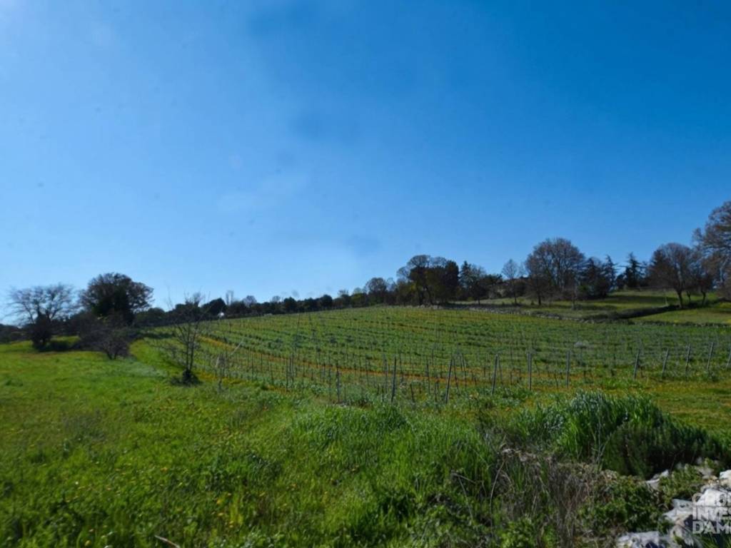 terreno agricolo in vendita ad Ostuni