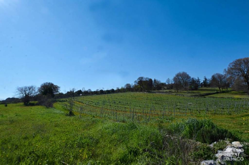 terreno agricolo in vendita ad Ostuni