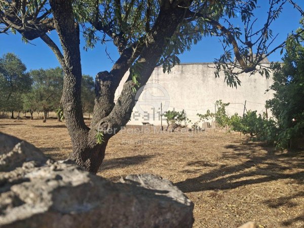 appartamento in vendita ad Ostuni