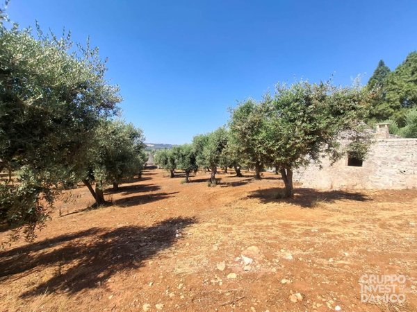 appartamento in vendita ad Ostuni