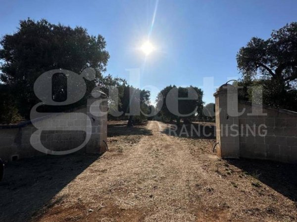 terreno agricolo in vendita ad Ostuni