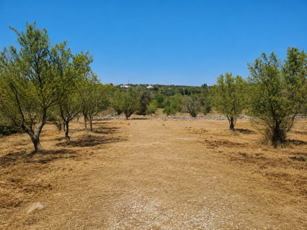 casa indipendente in vendita ad Ostuni