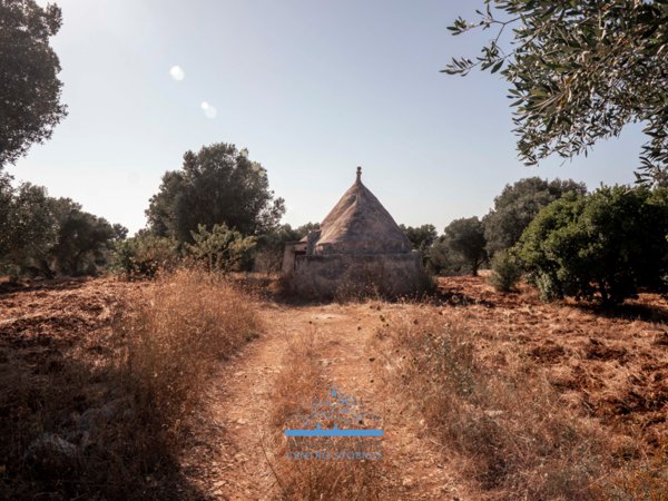 casa indipendente in vendita ad Ostuni