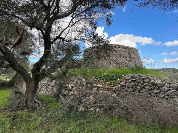terreno agricolo in vendita ad Ostuni